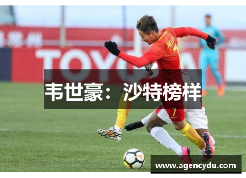 韦世豪：沙特榜样